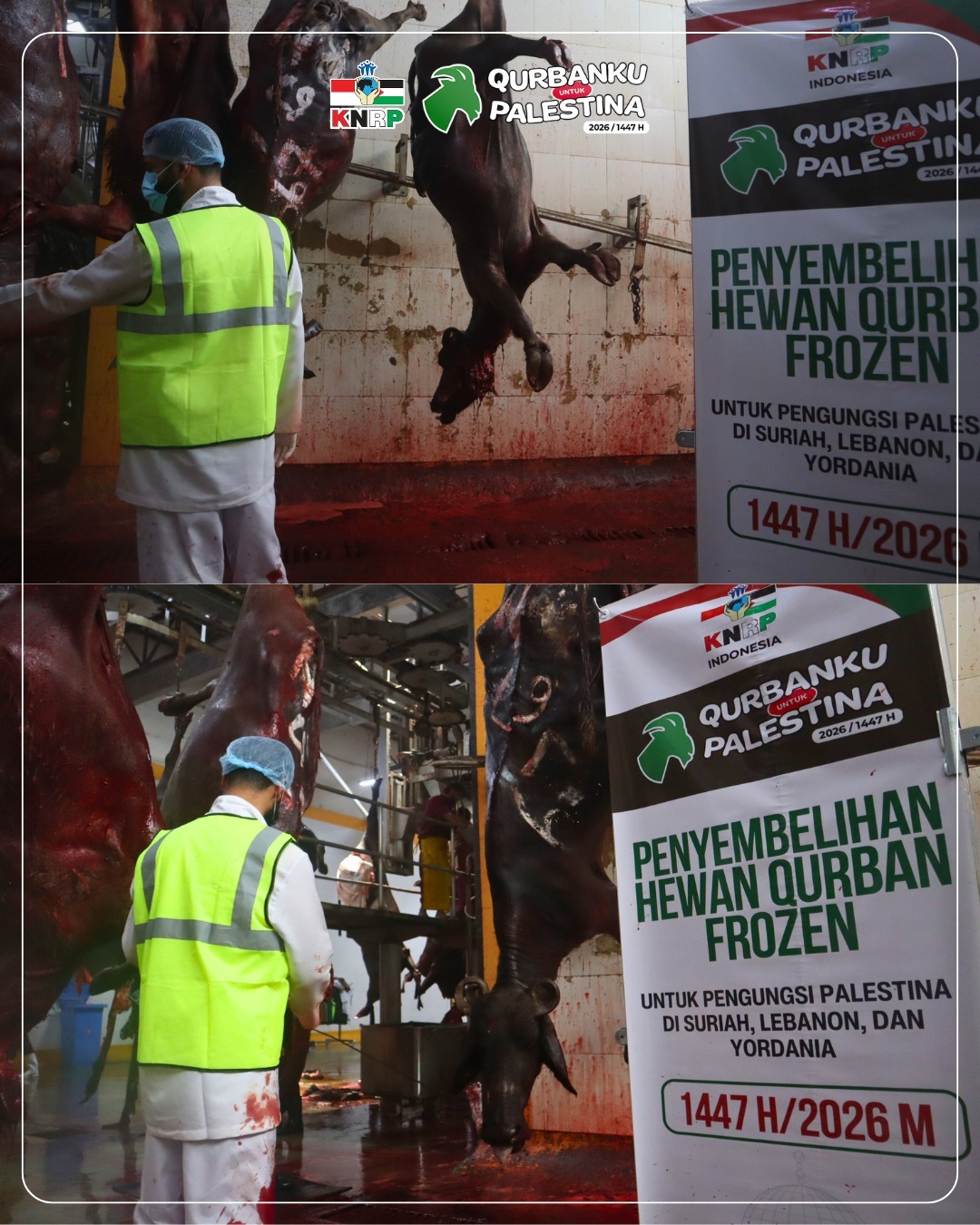 Penyembelihan Qurban Frozen di India (28 Mei 2026)